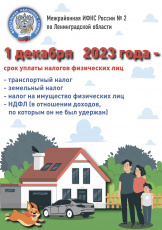 Уплатите налоги не позднее 1 декабря 2023 года!