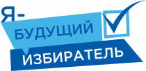 Волонтёры Избиркома