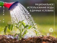 В комитете по ЖКХ обратились к садоводам из Ленинградской области с просьбой в жаркую погоду использовать для полива техническую и дождевую воду.